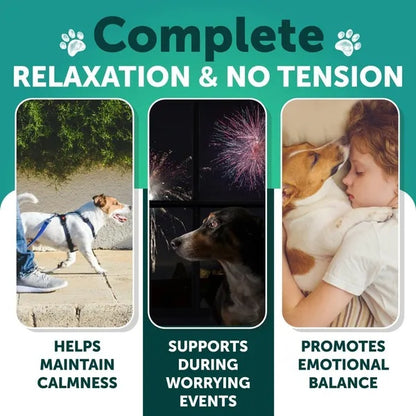 Hemp Calming Chews For Dogs Dog Anxiety Relief Treats With Hemp Oil Turmeric Valerian Ginger Health And Wellness Supplements For Dogs Hip And Joint Support 120 Treats